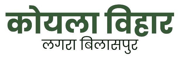 builder logo
