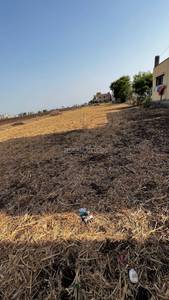 5000 sqft Plot For Sale in lohegaon, pune